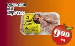 Food Depot Supermarket Frozen Quail offer