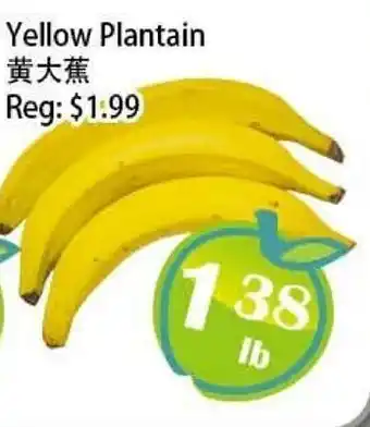 Food Depot Supermarket Yellow Plantain offer