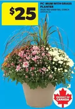 Real Canadian Superstore PC Mum with Grass Planter offer