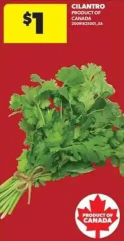 Real Canadian Superstore Cilantro offer