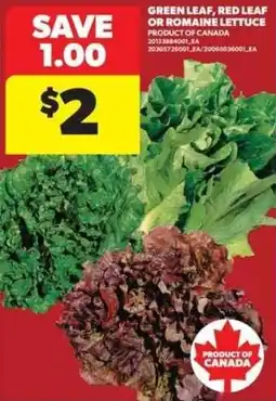 Real Canadian Superstore Lettuce offer