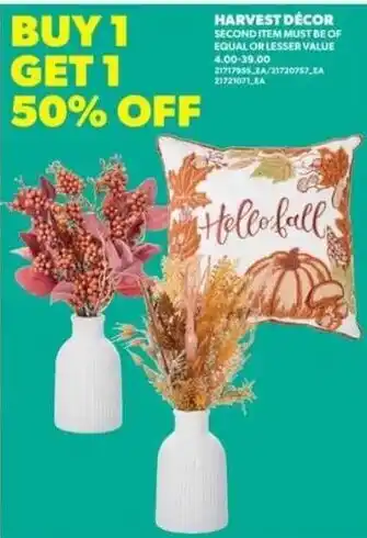 Real Canadian Superstore Harvest Décor offer