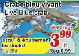 Marche C&T Live Blue crab offer