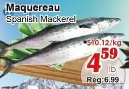 Marche C&T Maquereau Spanish Mackerel offer