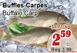 Marche C&T Buffalo Carp offer