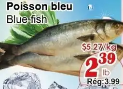 Marche C&T Blue fish offer