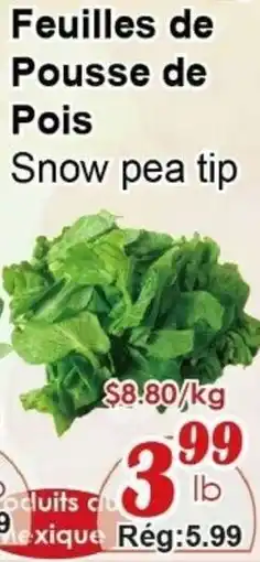 Marche C&T Snow pea tip offer