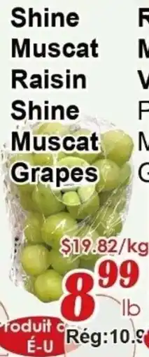 Marche C&T Shine Muscat Raisin Shine Muscat Grapes offer
