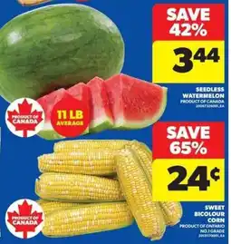 Real Canadian Superstore Seedless Watermelon offer