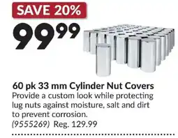 Princess Auto Cylinder Nut Covers offer