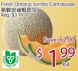 Sunny Food Mart Fresh Ontario Jumbo Cantaloupe offer