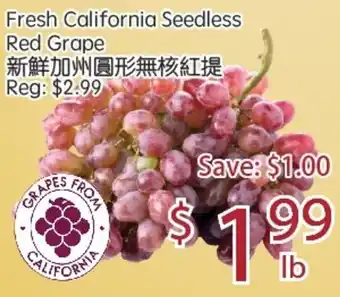 Fresh California Seedless Red Grape