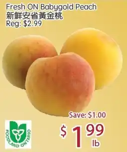 Sunny Food Mart Fresh ON Babygold Peach offer