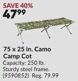 Princess Auto Camo Camp Cot offer
