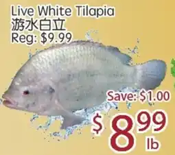 Sunny Food Mart Live White Tilapia offer