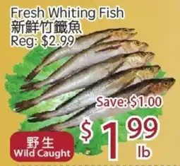 Sunny Food Mart Fresh Whiting Fish offer