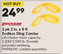 Princess Auto Erickson endless sling combo offer