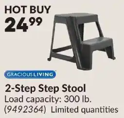 Princess Auto Gracious Living 2-Step Step Stool offer