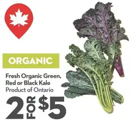 Longo's Organic Green, Red or Black Kale offer