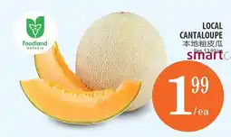 Al Premium Food Mart Local cantaloupe offer