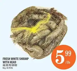 Al Premium Food Mart Fresh white shrimp with head offer