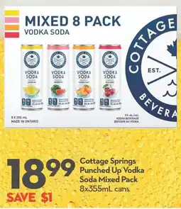 Longo's Cottage Springs Punched Up Vodka Soda Mixed Pack offer