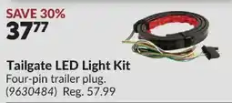 Princess Auto Tailgate LED Light Kit offer