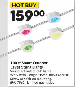 Princess Auto 100 ft Smart Outdoor Eaves String Lights offer