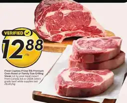 Safeway Fresh Capless Prime Rib Premium Oven Roast or Family Size Grilling Steak offer