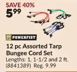 Princess Auto Powerfist 12 pc Assorted Tarp Bungee Cord Set offer