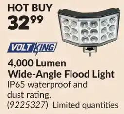 Princess Auto Volt King 4,000 Lumen Wide-Angle Flood Light offer