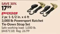 Princess Auto Erickson 3,000 lb Powersport Ratchet Tie-Down Strap Set offer