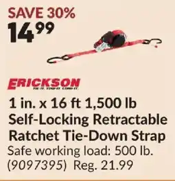 Princess Auto Erickson self-locking retractable ratchet tie-down strap offer