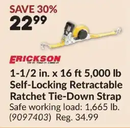 Princess Auto Erickson self-locking retractable ratchet tie-down strap offer