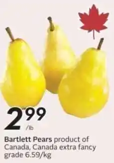 Safeway Bartlett Pears offer