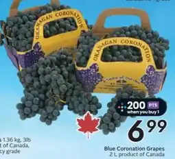 Safeway Blue Coronation Grapes offer