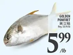 Al Premium Food Mart Golden pomfret offer
