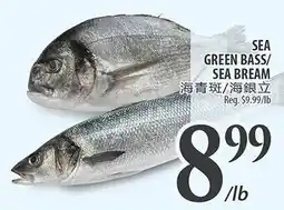 Al Premium Food Mart Sea green bass/sea bream offer