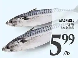 Al Premium Food Mart Mackerel offer