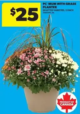 Real Canadian Superstore PC Mum with Grass Planter offer