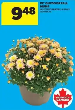 Real Canadian Superstore PC outdoor fall mums offer