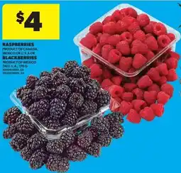 Real Canadian Superstore Raspberries Blackberries offer