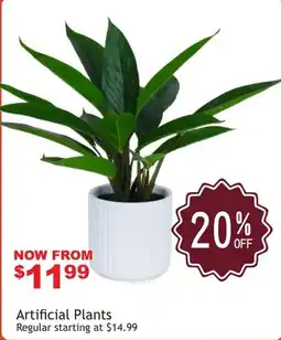 Beddington's Artificial Plants offer