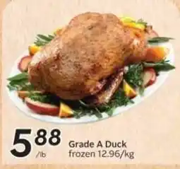 Safeway Grade A Duck offer