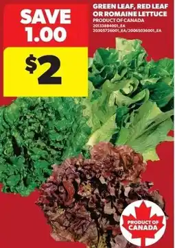 Real Canadian Superstore Green leaf, red leaf or romaine lettuce offer