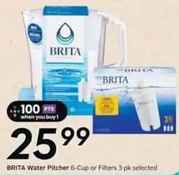 Safeway Brita water pitcher offer