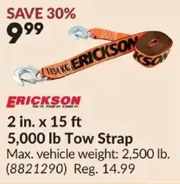 Princess Auto Erickson tow strap offer