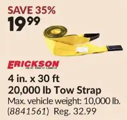 Princess Auto Erickson 20,000 lb Tow Strap offer