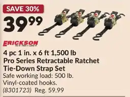 Princess Auto Erickson pro series retractable ratchet tie-down strap set offer