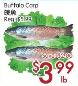 Sunny Food Mart Buffalo Carp offer